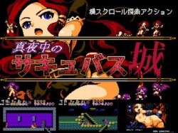 [190216][ピクセル定食] 真夜中のサキュバス城【18禁版】 [92M] [RJ234140]