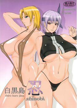 [Gぱんだ (御堂つかさ)] 白黒島忍 (デッド・オア・アライブ) [瓜皮个人汉化] [39M]